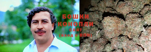 ешки Касимов