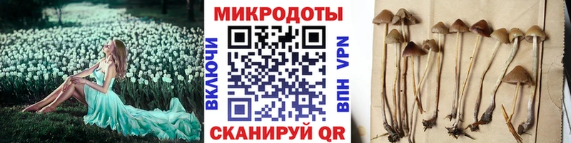 Псилоцибиновые грибы прущие грибы  Купить  Одинцово 